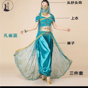 Deluxe Disney Aladdin Jasmine princess Women's Costume Cosplay